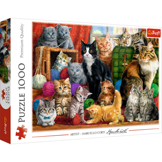 KÄRNAN, PUSSEL, TREFL - 1000 BIT FELINE MEETING