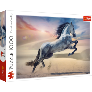 1000 BIT MAJESTIC HORSE