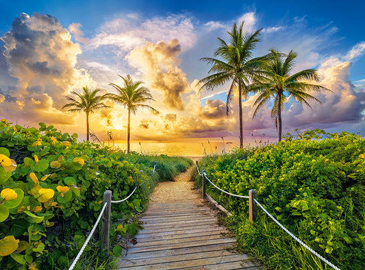 Colorful Sunrise in Miami, USA, 3000 bitar
