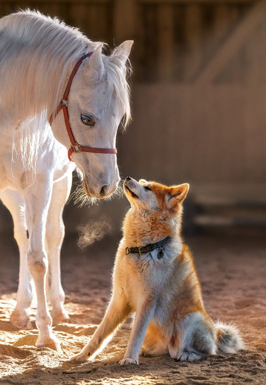 Unique Friendship, 1000-bitarspussel