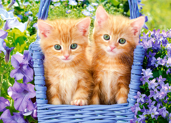 KIDEK pussel - Ginger Kittens, 60-bitar