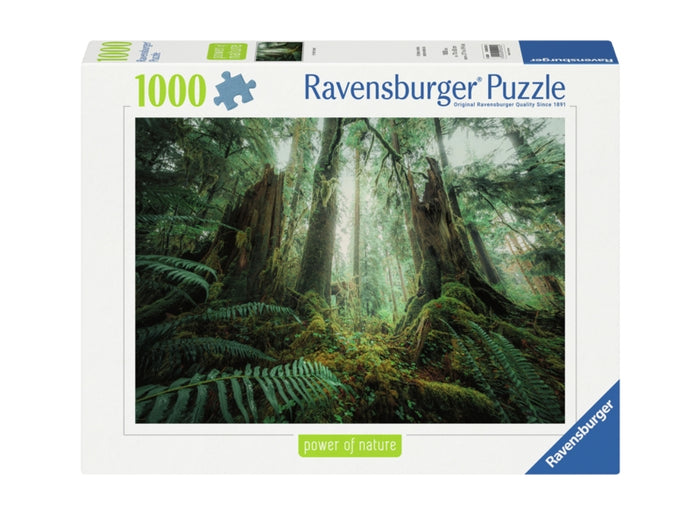 Ravensburger pussel - Woods 1000 bitar