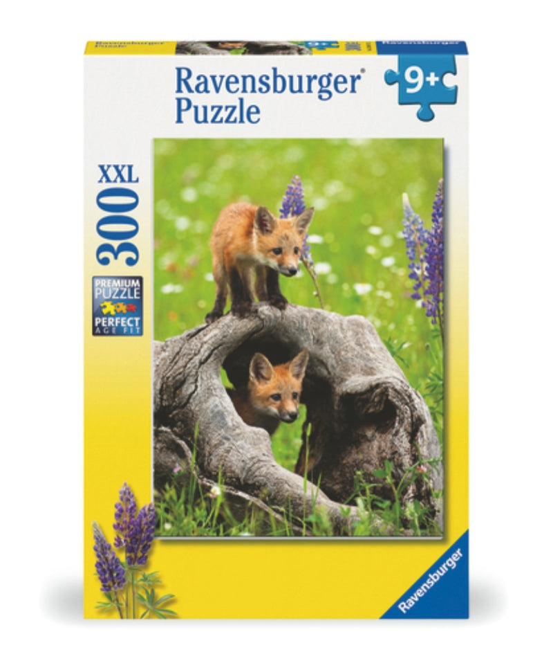 Ravensburger pussel - Curious Foxes 300 bitar