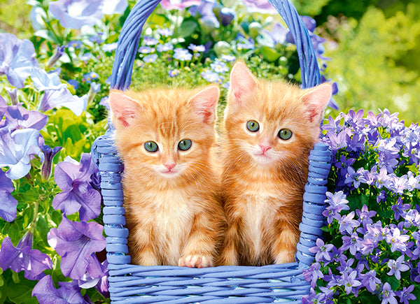 KIDEK pussel - Ginger Kittens, 70-bitar