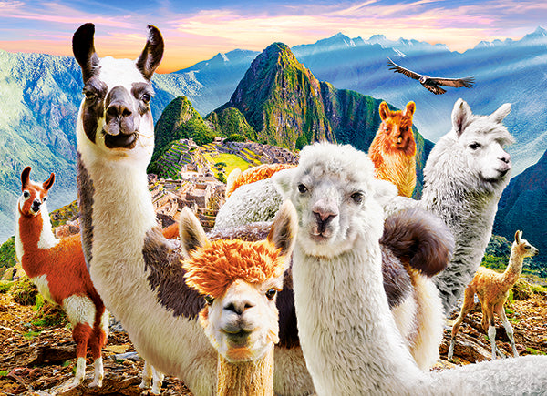 KIDEK pussel - Llamas Selfie, 200-bitar