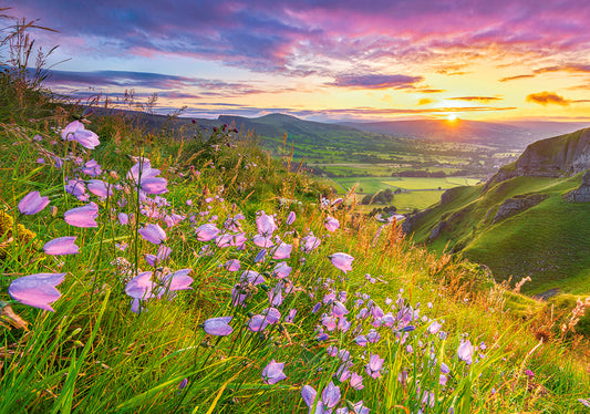 Harebells at Sunrise, 500-bitarspussel