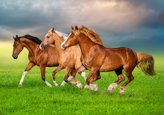 Horses in Spring Rush, 500-bitarspussel