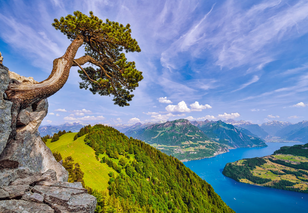 KIDEK pussel - View of the Lake of Uri, Switzerland, 1000-bitar