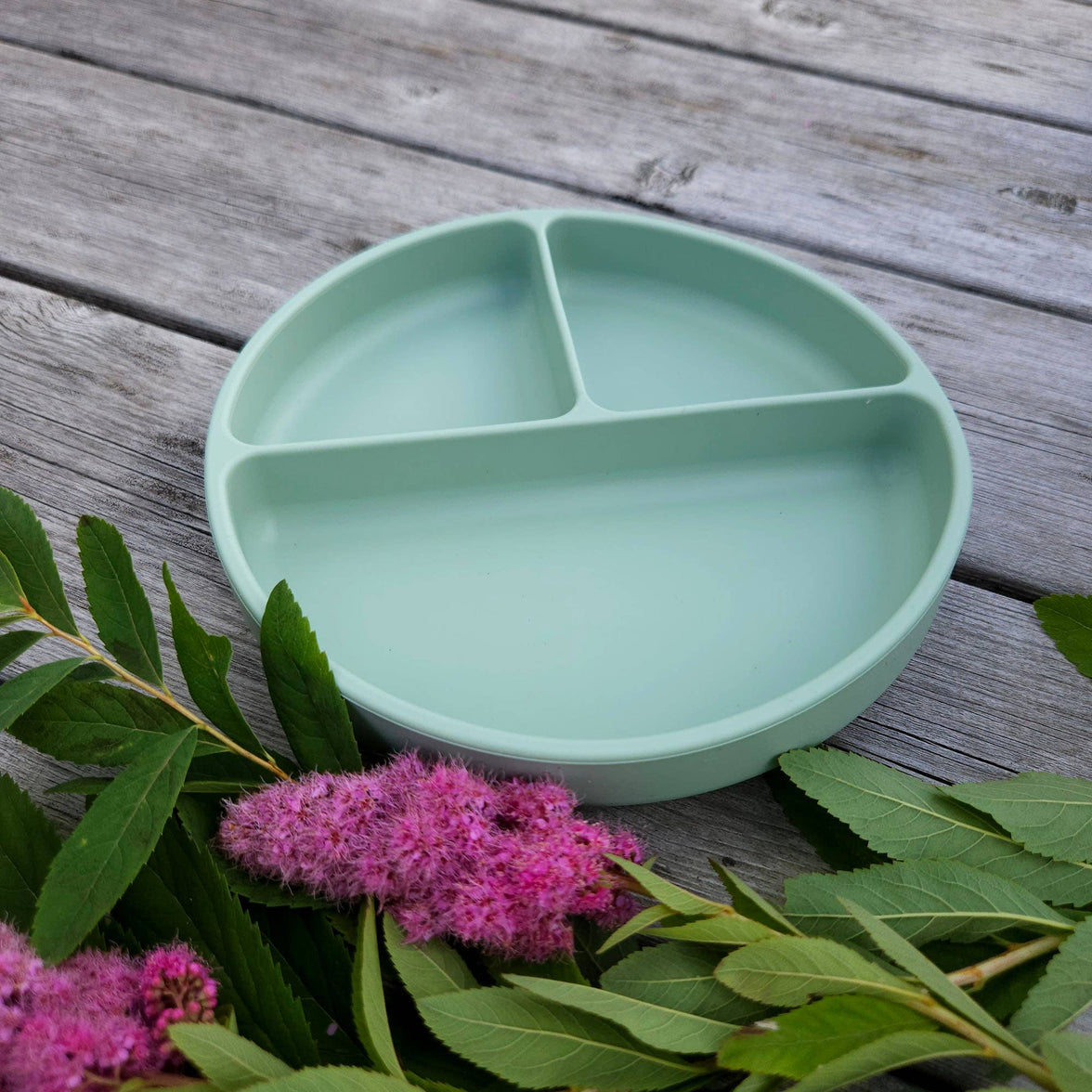 Summerville organic delad silikontallrik