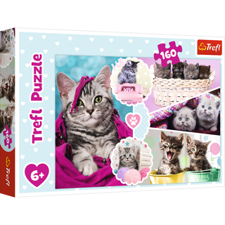 160 BIT LOVELY KITTENS