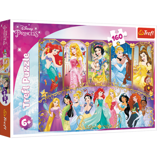 160 BIT DISNEY PRINCESS