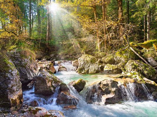 The forest stream, 2000-bitarspussel