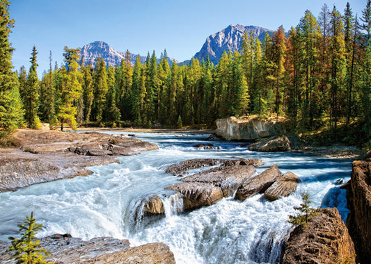 Athabasca River, Jasper Nation, 1500-bitarspussel