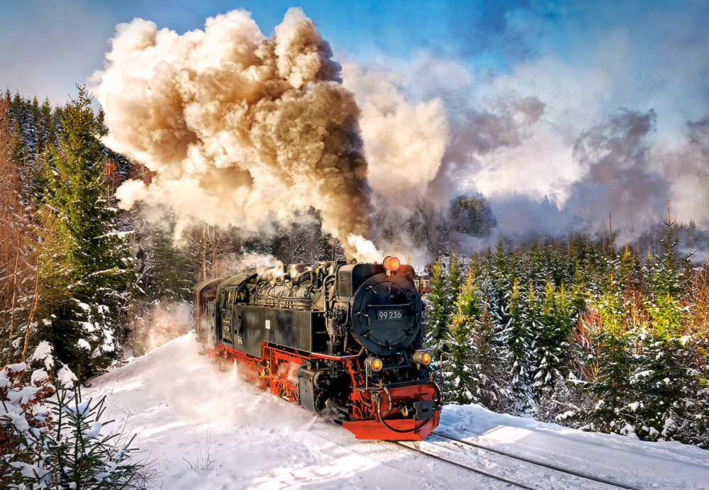 Steam Train, 1000-bitarspussel