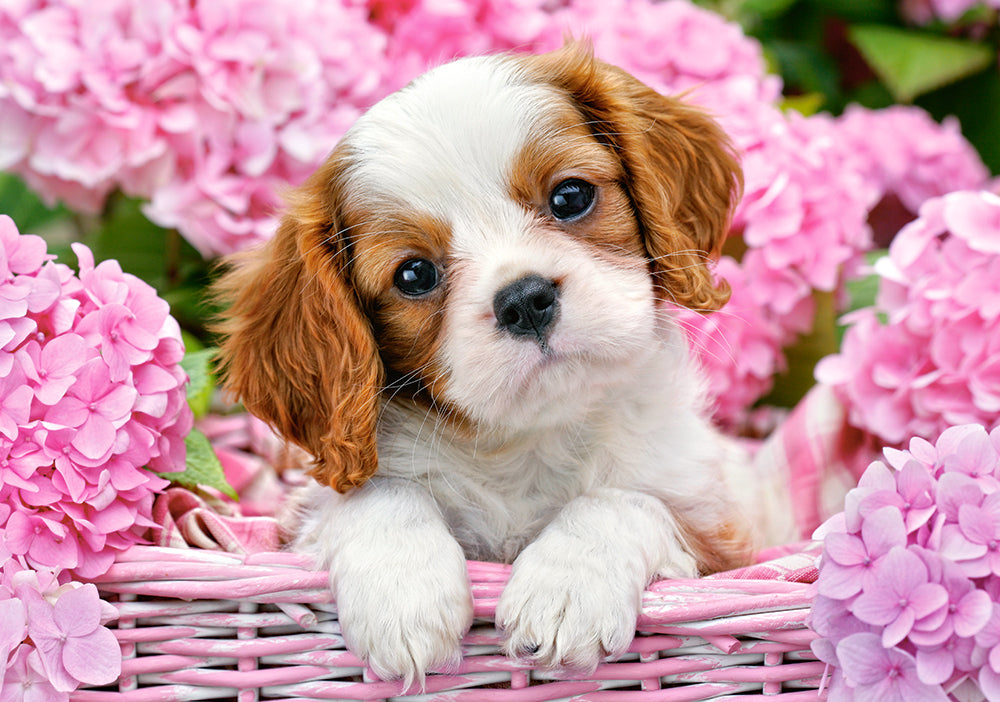 KIDEK pussel - Pup in Pink Flowers, 500-bitar