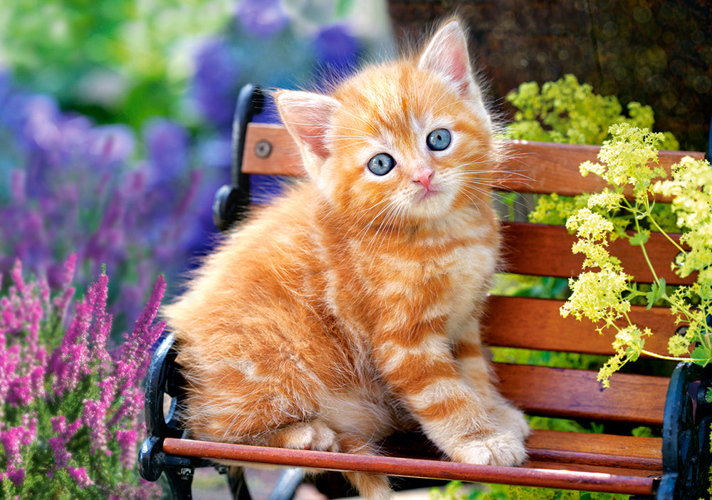 KIDEK pussel - Ginger Kitten, 500-bitar