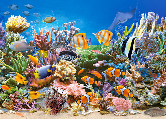 Colours of the Ocean, 260-bitarspussel