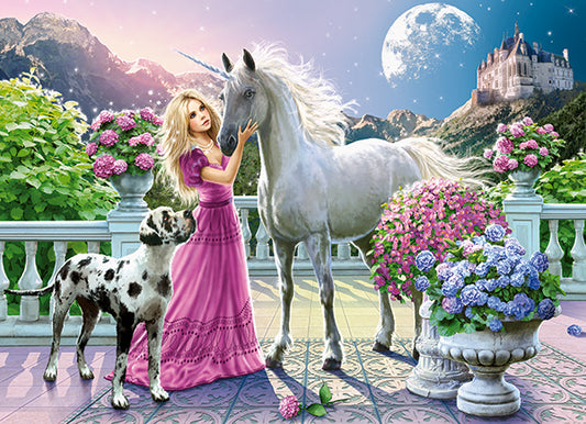 My Friend Unicorn, 300-bitarspussel