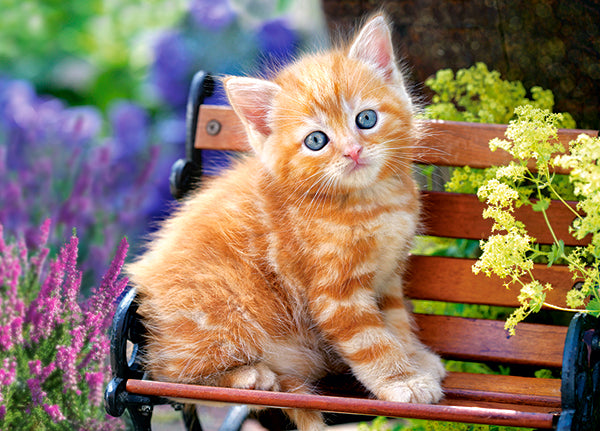 KIDEK pussel - Ginger Kitten, 180-bitar