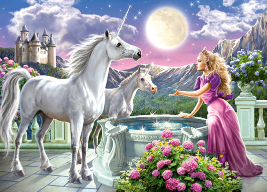 Princess and her Unicorns, 120-bitarspussel
