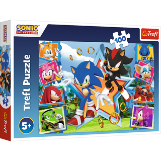 KÄRNAN, PUSSEL, TREFL - 100 BIT SONIC THE HEDGEHOG
