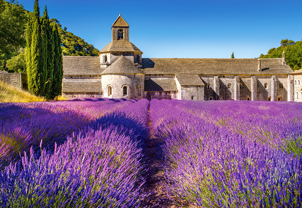 KIDEK pussel - Lavender Field in Provence, France, 1000-bitar