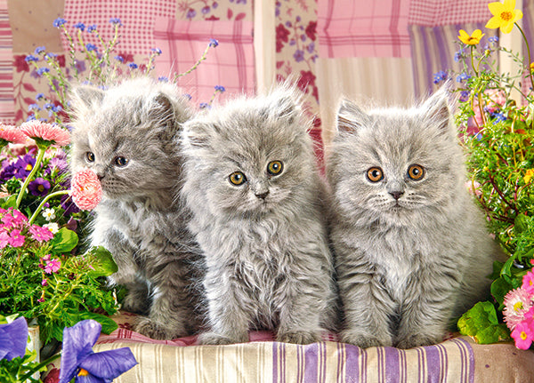 KIDEK pussel - Three Grey Kittens, 260-bitar