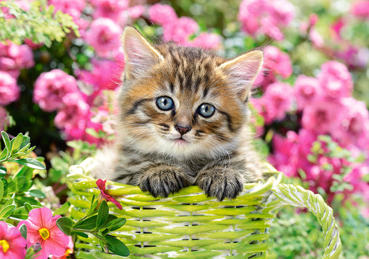 Kitten in flower garden, 500-bitarspussel