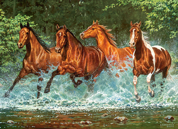 Cascade Run, 300-bitarspussel