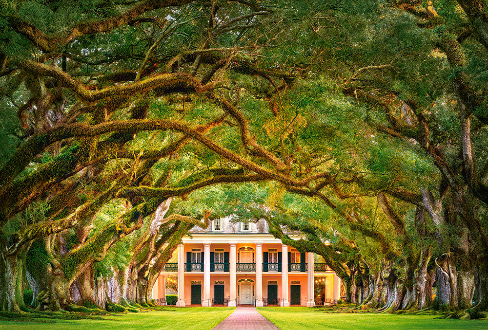 KIDEK pussel - Oak Alley Plantation, 1000-bitar