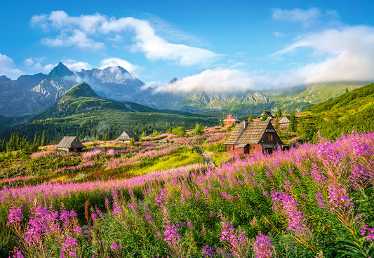 Hala Gasienicowa,Tatras,Poland, 1000-bitarspussel