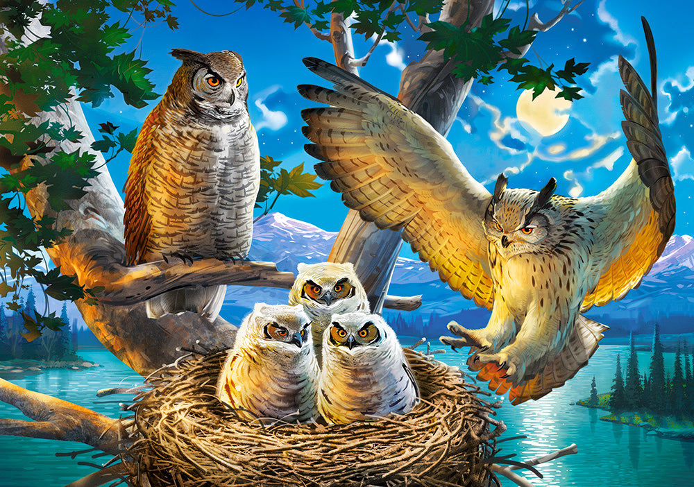 Owl Family, 500-bitarspussel
