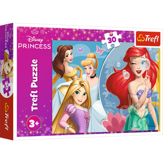 KÄRNAN, PUSSEL, TREFL - 30 BIT DISNEY PRINCESS