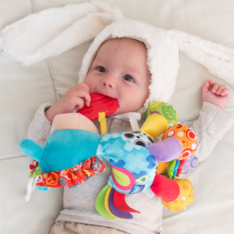 Playgro Activity Friend Clip Clop 0m+