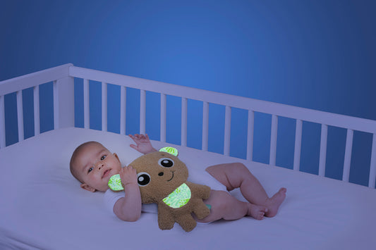 Playgro - Playgro Flat Comfort Bear 0m+