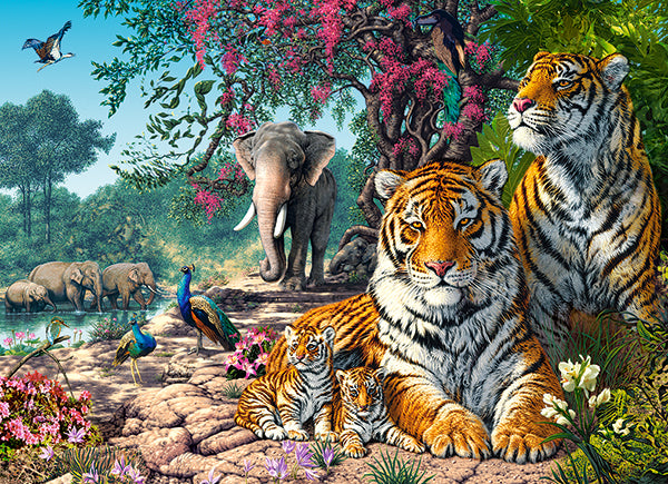 Tiger Sanctuary, 300-bitarspussel