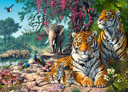 Tiger Sanctuary, 300-bitarspussel
