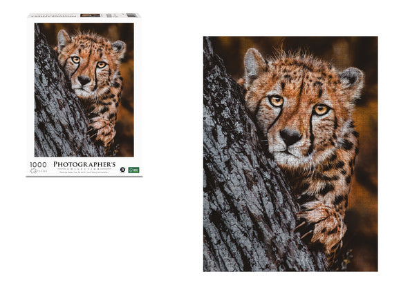 PUSSEL PHOTOGRAPHER'S COLLECTION 1000PCS – CHEETAH