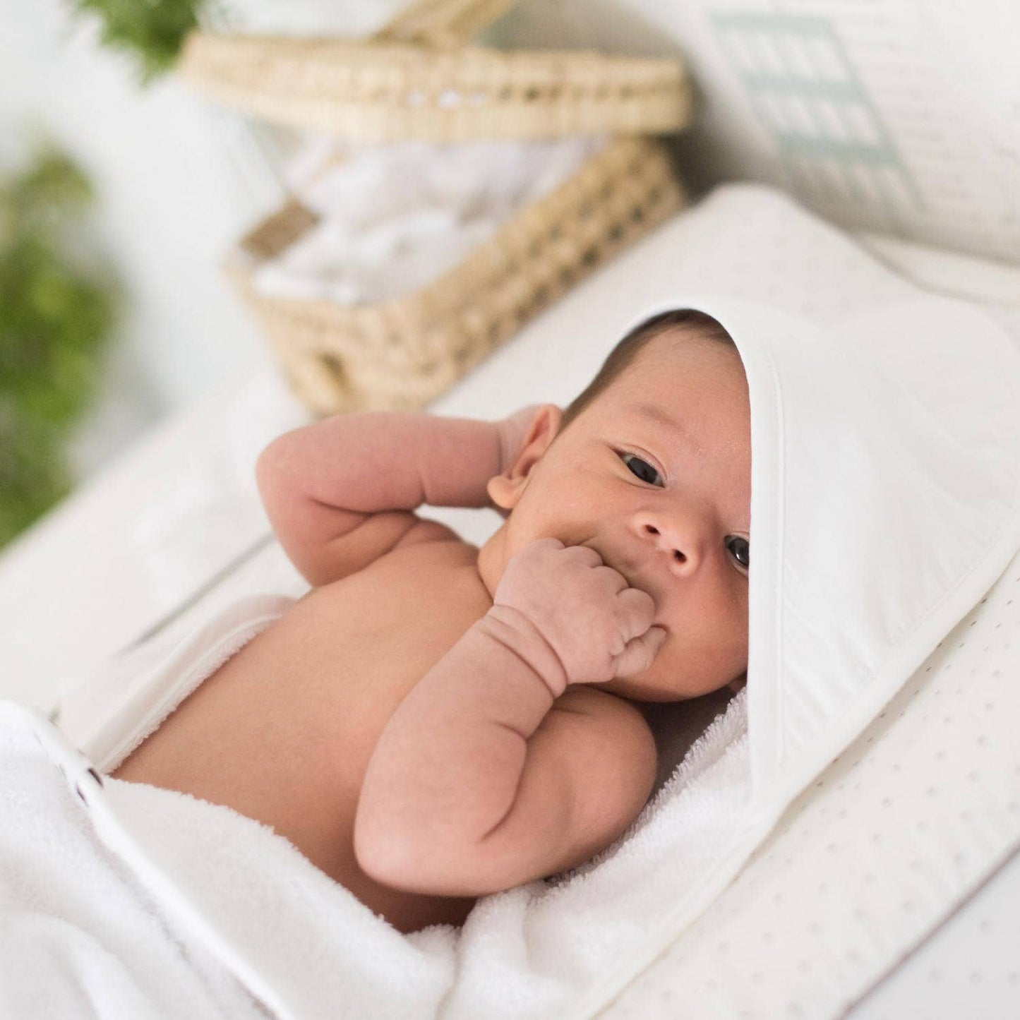 Summerville organic Ekologisk babyhandduk med huva vit