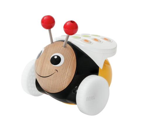 Code and Go Bumblebee