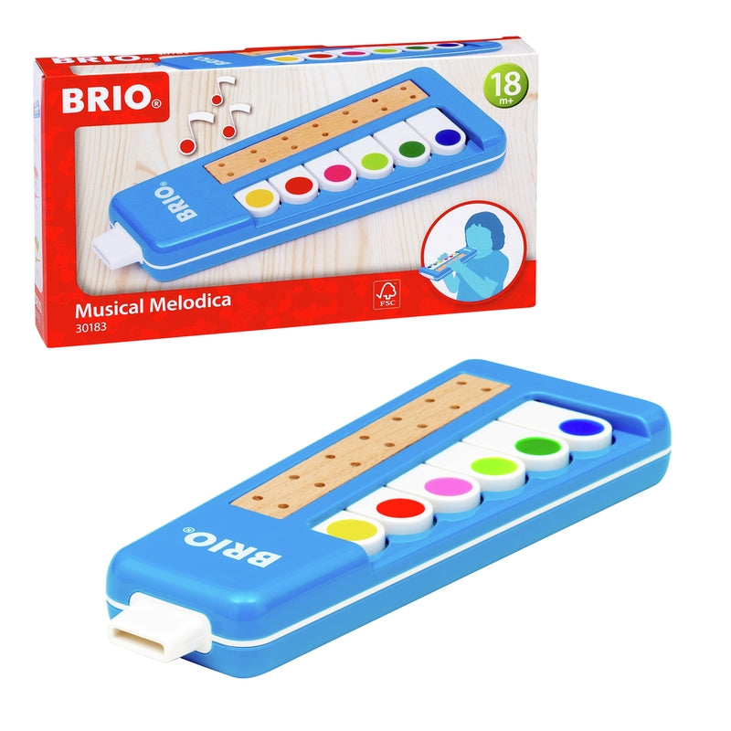 Musical Melodica #