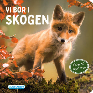 VI BOR I SKOGEN