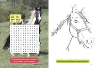 Tactic Hästar pysselbok