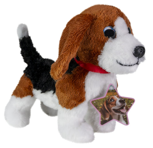 Tactic Lumo Stars Beagle Cooper