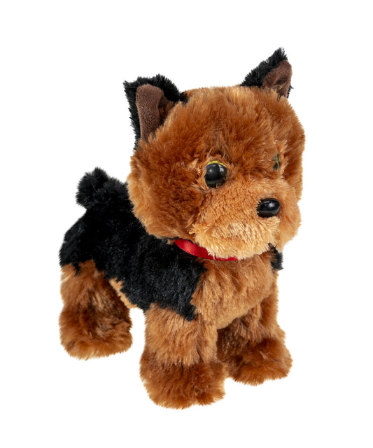 Tactic Lumo Stars Yorkshire terrier Daisy