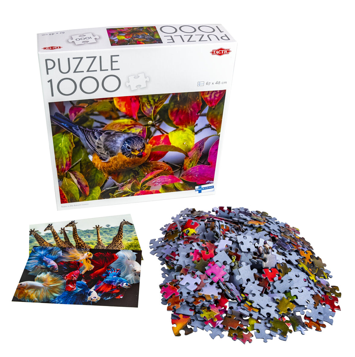 Tactic 1000 pcs puzzle: Robin in Autumn Leaves