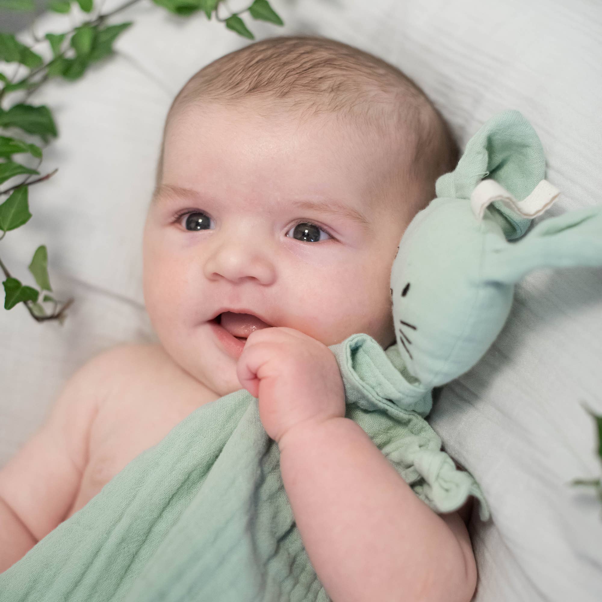 Summerville organic Ekologisk gosig kanin