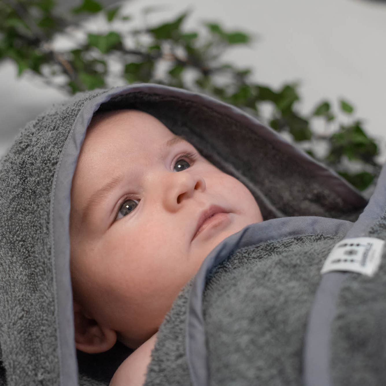 Ekologisk babyhandduk med huva Kanin Grå