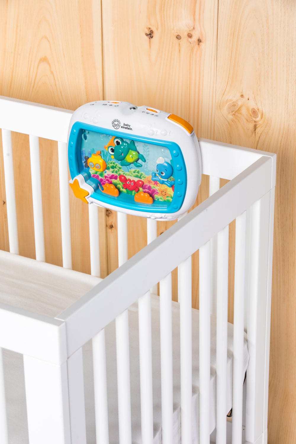 Baby Einstein Sea Dreams Soother