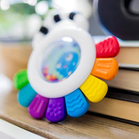 Baby Einstein Sensory Rattle & Teether
